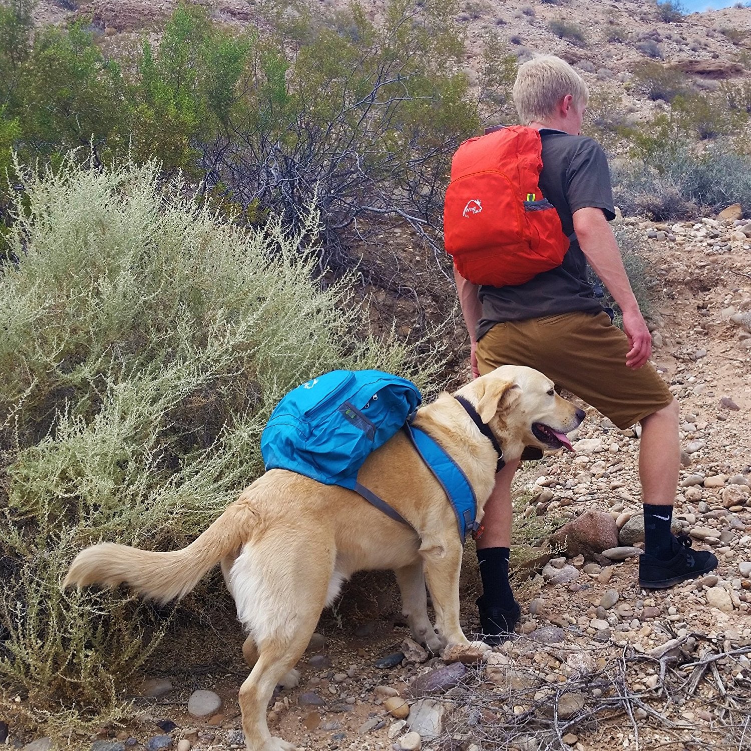 Packable Hiking Daypack